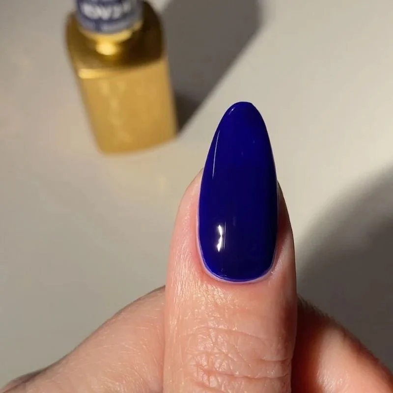 Thumbnail 31