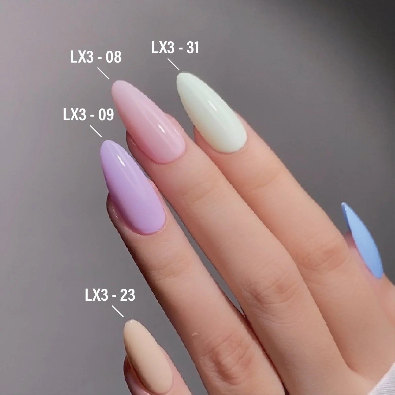 Thumbnail 12